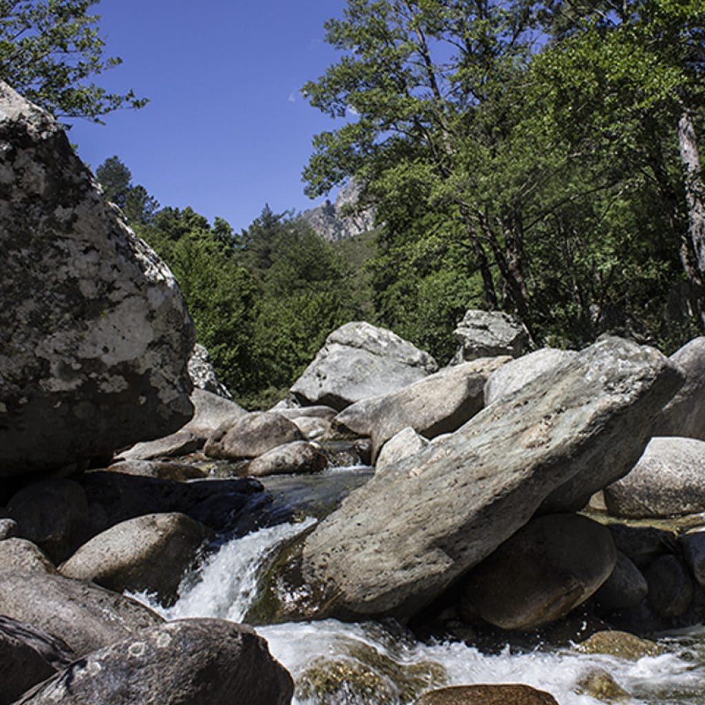 corse rivière corse